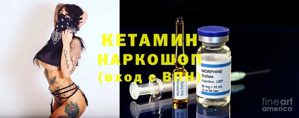 сатива Нефтекумск