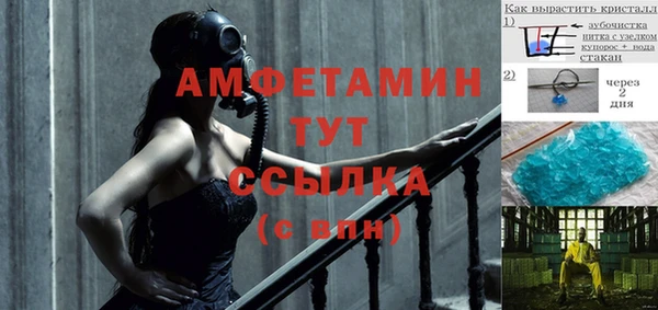 сатива Нефтекумск